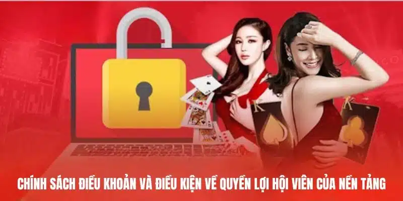 Chính sách điều khoản và điều kiện về quyền lợi hội viên của nền tảng